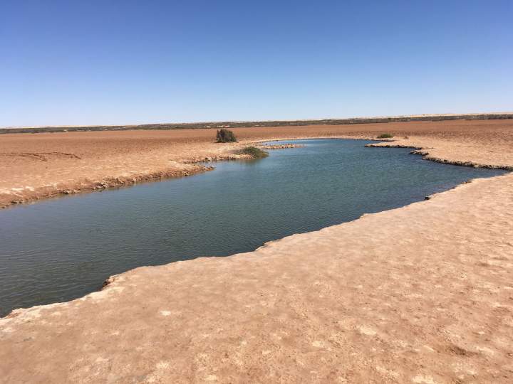 Spot pour excursion à Dahkla